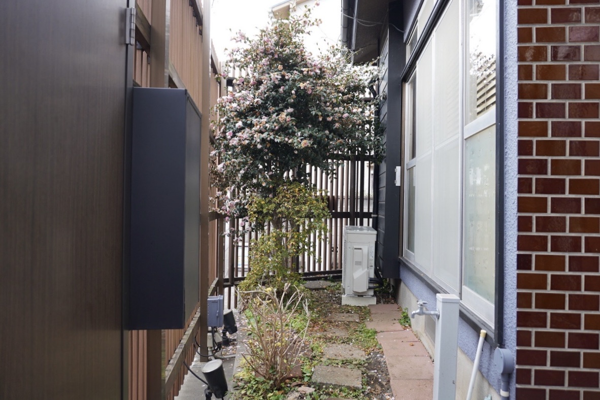 山茶花の咲く木のあるMother TREEの中庭